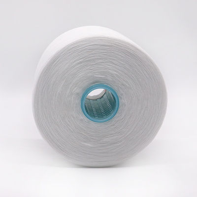 OEM 40/2 20/2 100% 스푼 폴리에스터 가닥 화학 저항성 및 100-500g