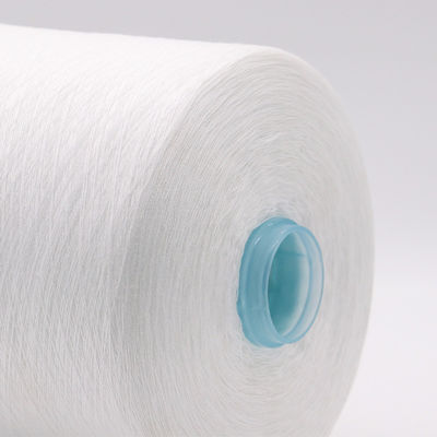 OEM 40/2 20/2 100% 스푼 폴리에스터 가닥 화학 저항성 및 100-500g