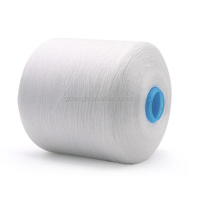 100% OEM 20/2 30/2 40/2 50/3의 폴리에스터 가닥 100-500g
