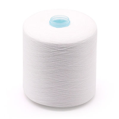 100% OEM 20/2 30/2 40/2 50/3의 폴리에스터 가닥 100-500g