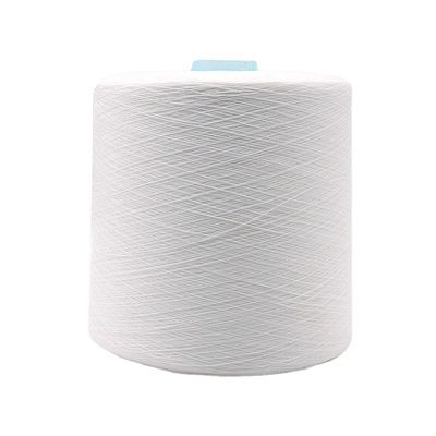 100% OEM 20/2 30/2 40/2 50/3의 폴리에스터 가닥 100-500g